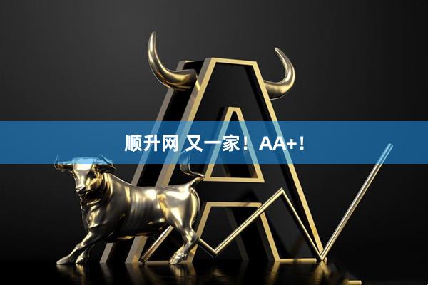 顺升网 又一家！AA+！