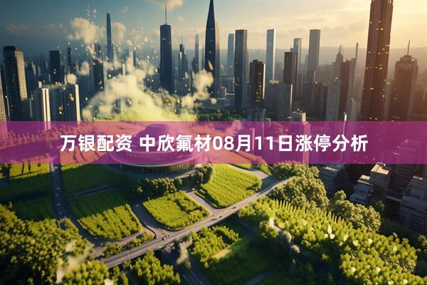 万银配资 中欣氟材08月11日涨停分析